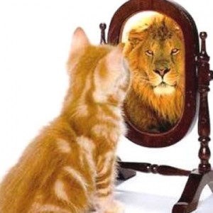 confidence